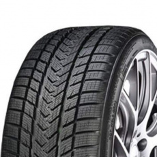 Gripmax Status Pro Winter 285/35 R 21 105V