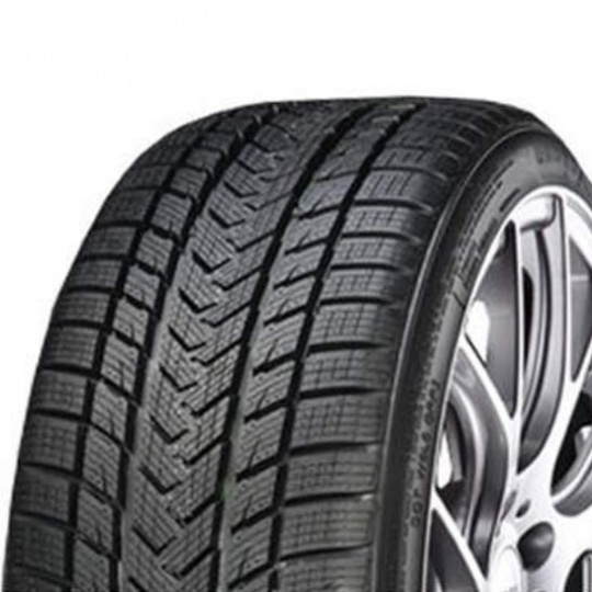 Gripmax Status Pro Winter 205/55 R 19 97V